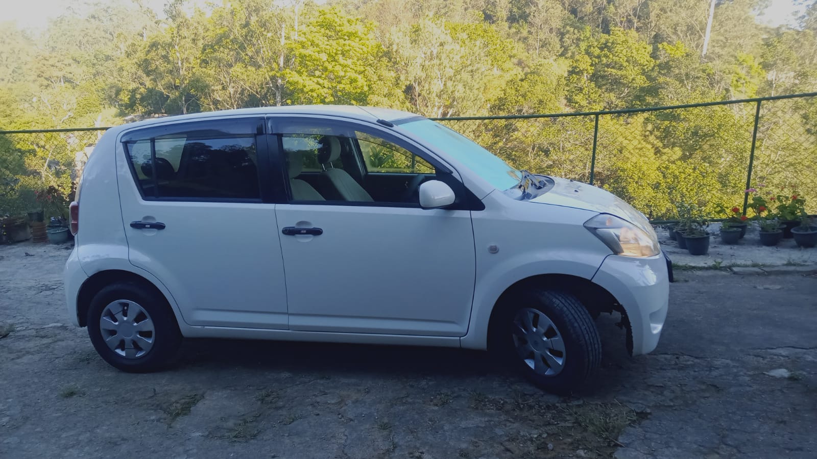 Toyota Passo 2009
