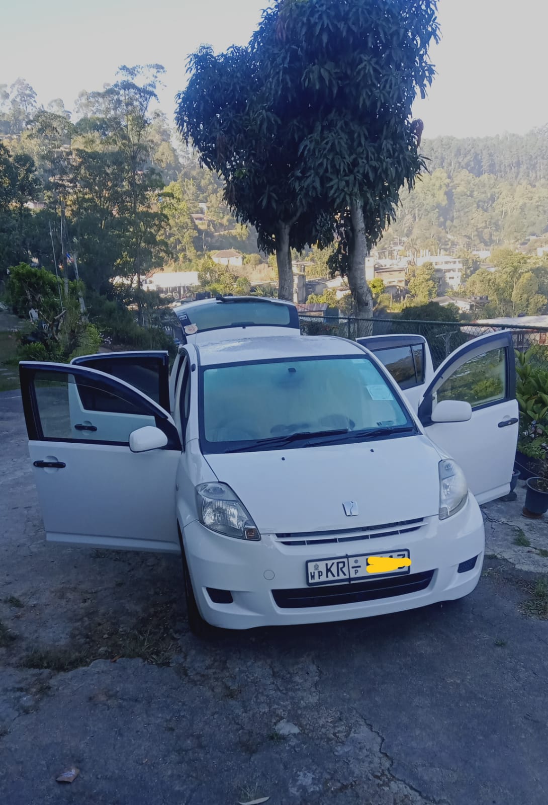 Toyota Passo 2009