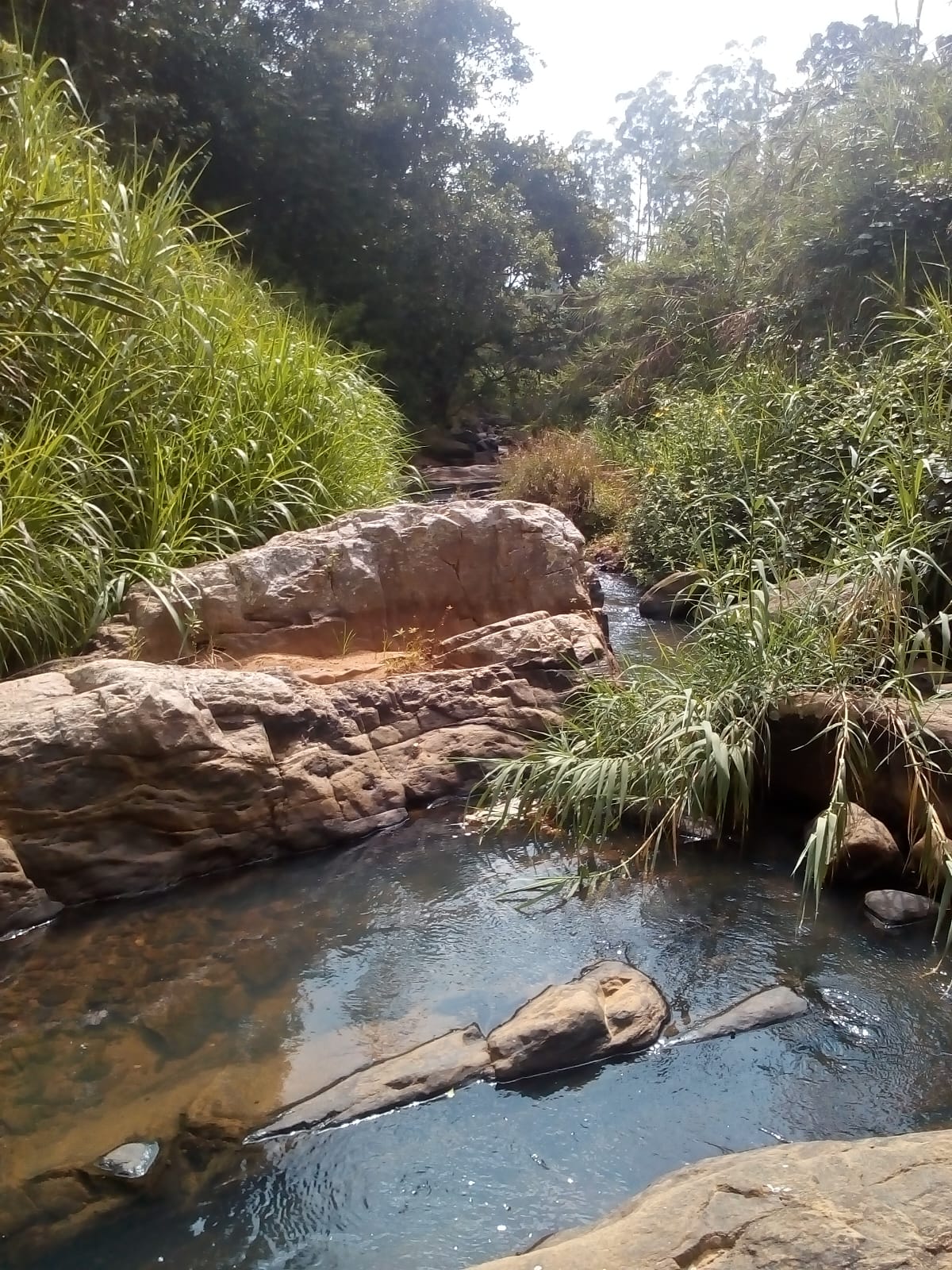 Land for Sale-Haputhale
