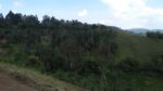 Land for Sale-Haputhale