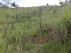 Land for Sale-Haputhale