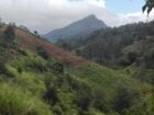 Land for Sale-Haputhale