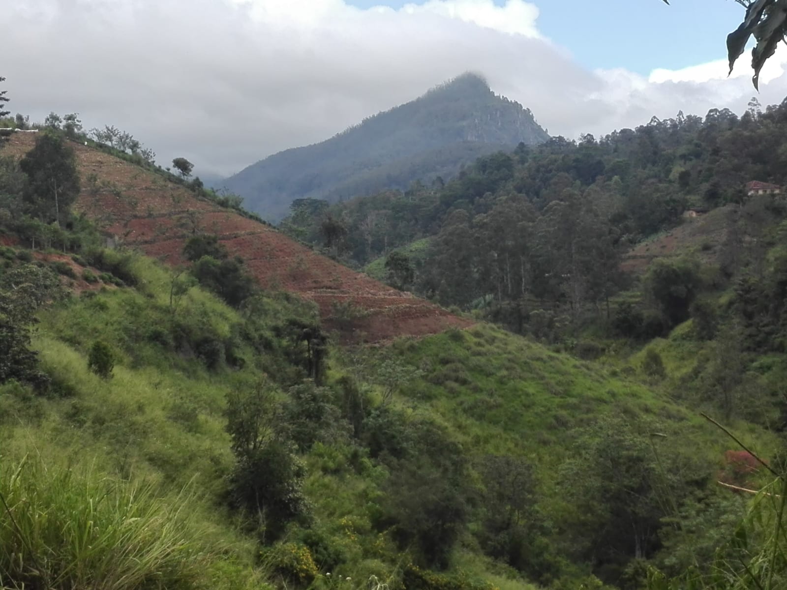 Land for Sale-Haputhale