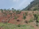 Land for Sale-Haputhale