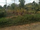 Land for Sale Ambalangoda