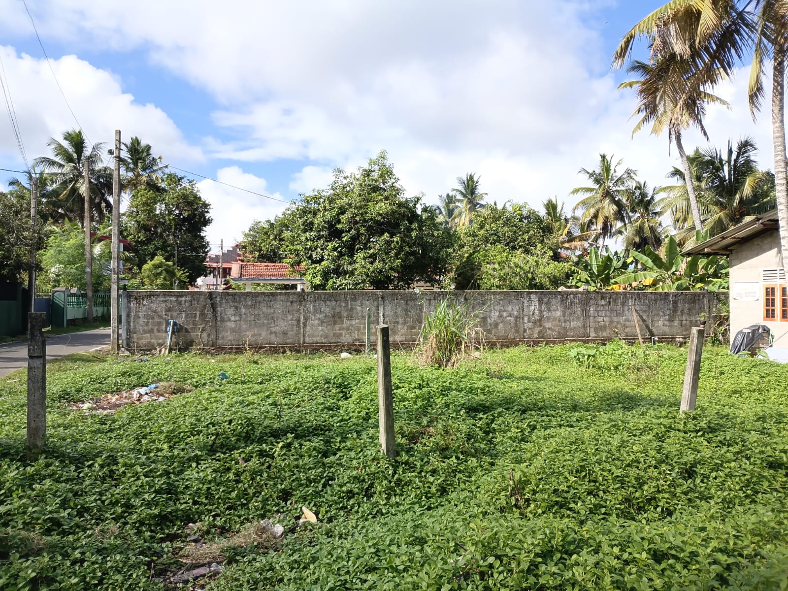 Valuable Land in Wewala, Ja Ela