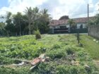 Valuable Land in Wewala, Ja Ela