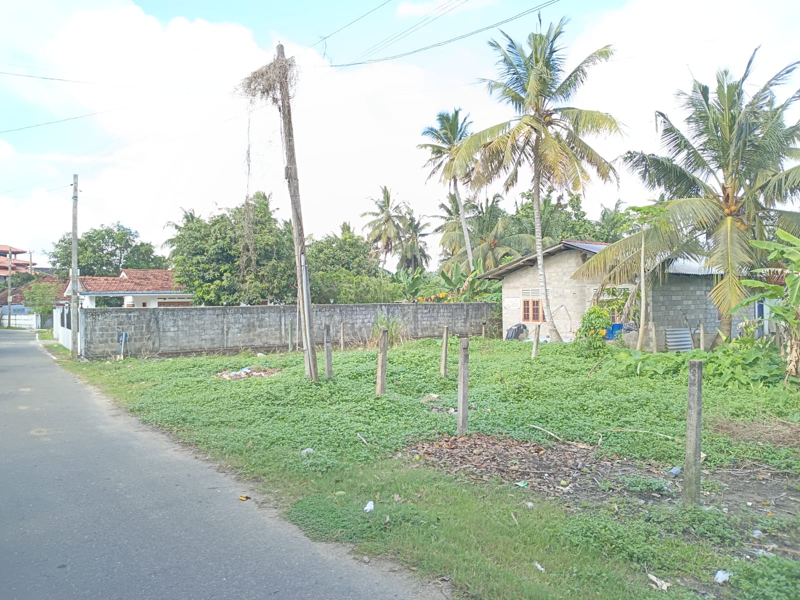 Valuable Land in Wewala, Ja Ela