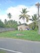 Valuable Land in Wewala, Ja Ela