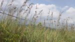 Land for Sale located in Karawaketiye Estate , Galwala Road, Balangoda