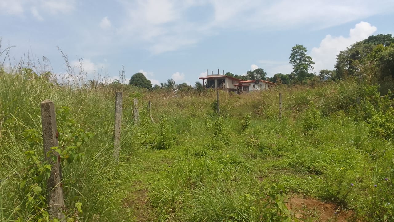 Land for Sale located in Karawaketiye Estate , Galwala Road, Balangoda