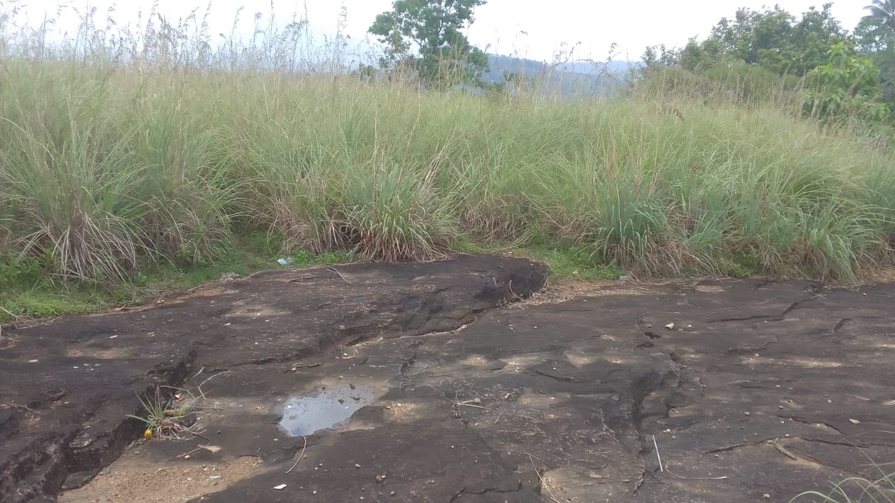 Land for Sale located in Karawaketiye Estate , Galwala Road, Balangoda
