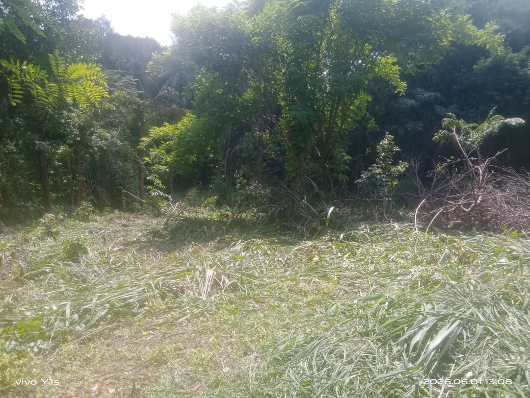 පර්චස් 67.7 ඉඩමක් විකිණීමට වරකාපොළ