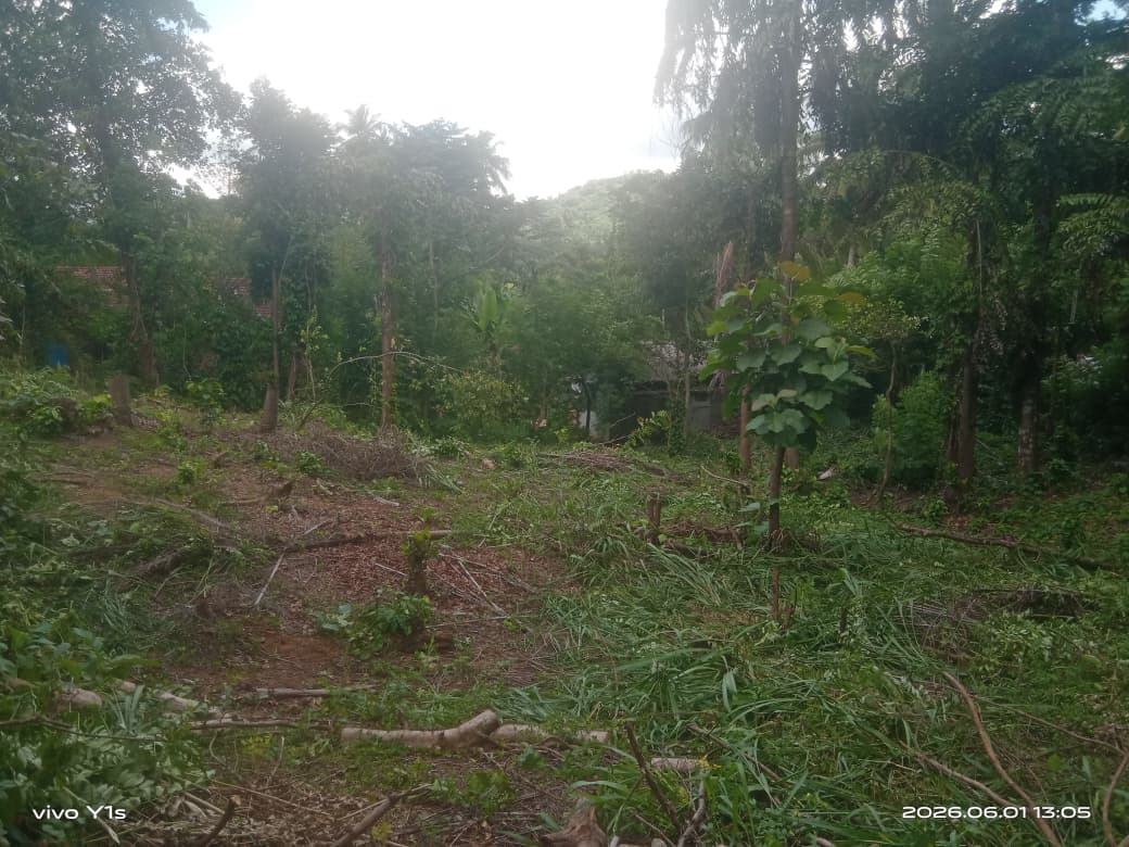 පර්චස් 67.7 ඉඩමක් විකිණීමට වරකාපොළ