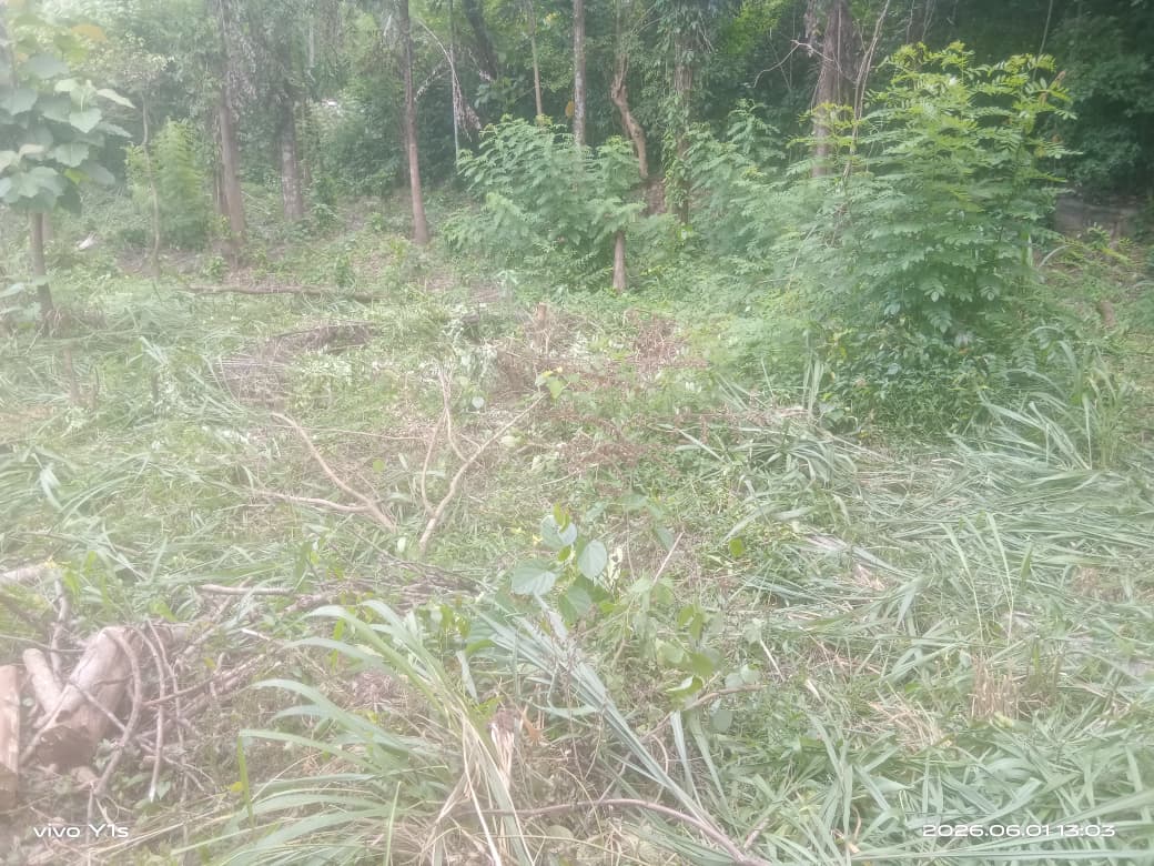පර්චස් 67.7 ඉඩමක් විකිණීමට වරකාපොළ