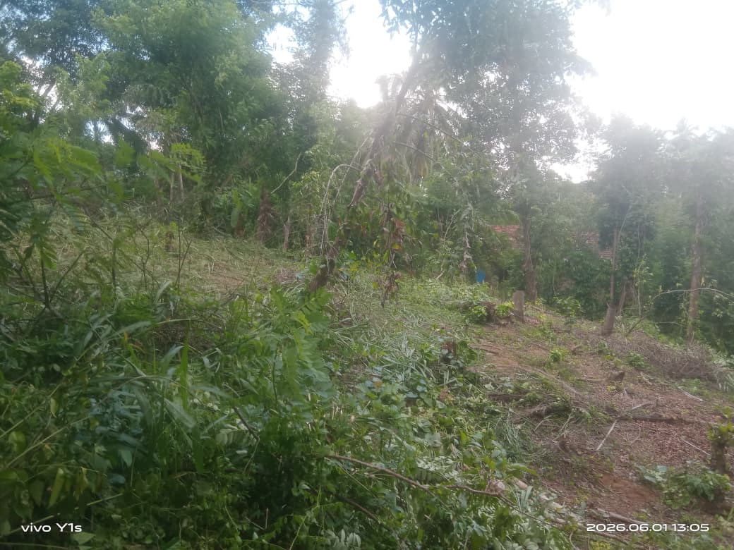 පර්චස් 67.7 ඉඩමක් විකිණීමට වරකාපොළ