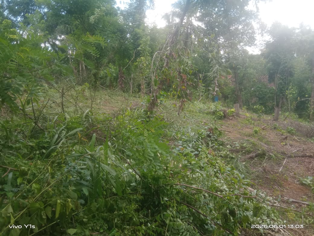 පර්චස් 67.7 ඉඩමක් විකිණීමට වරකාපොළ