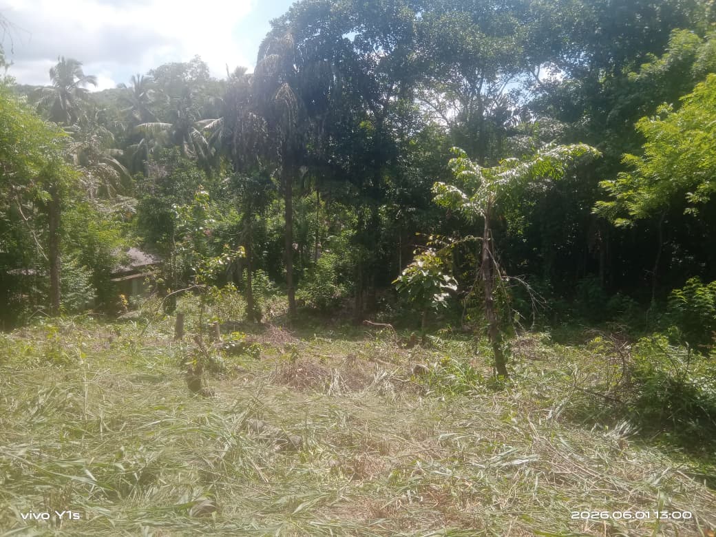 පර්චස් 67.7 ඉඩමක් විකිණීමට වරකාපොළ