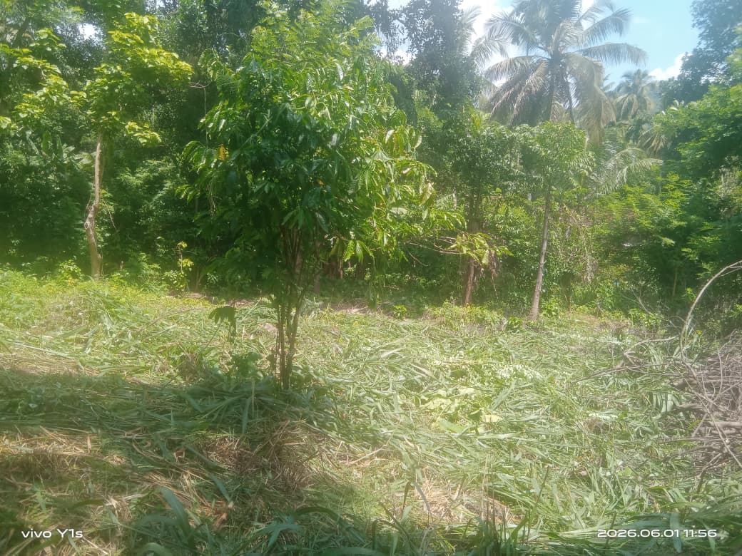 පර්චස් 67.7 ඉඩමක් විකිණීමට වරකාපොළ