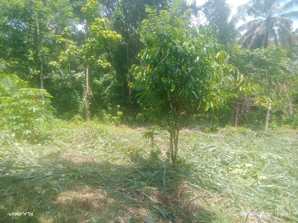 පර්චස් 67.7 ඉඩමක් විකිණීමට වරකාපොළ