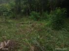 පර්චස් 67.7 ඉඩමක් විකිණීමට වරකාපොළ