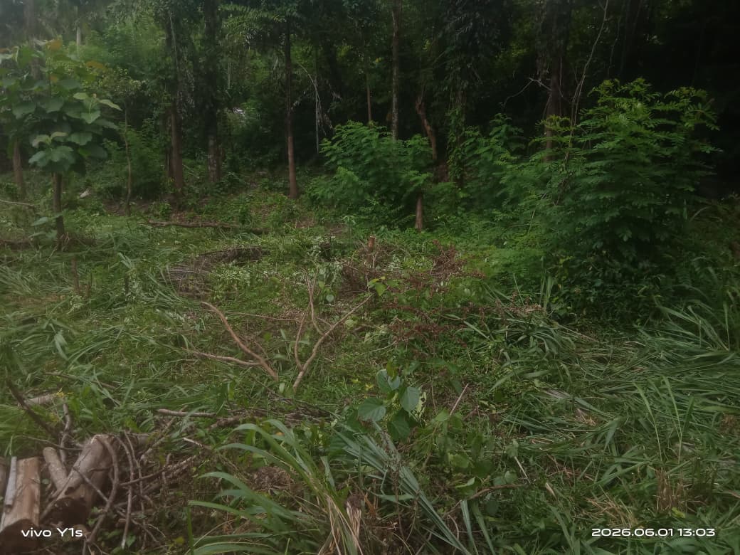 පර්චස් 67.7 ඉඩමක් විකිණීමට වරකාපොළ