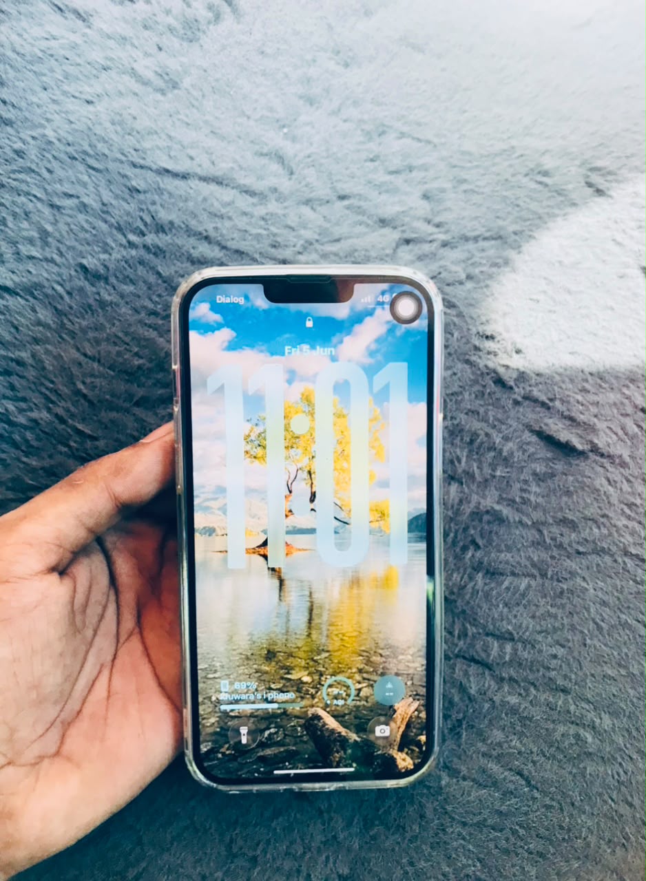 Apple iPhone 13 Pro Max (Used)