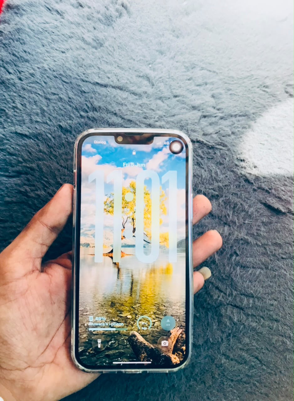 Apple iPhone 13 Pro Max (Used)