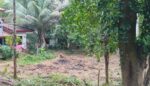 Land for Sale in Ratnapura