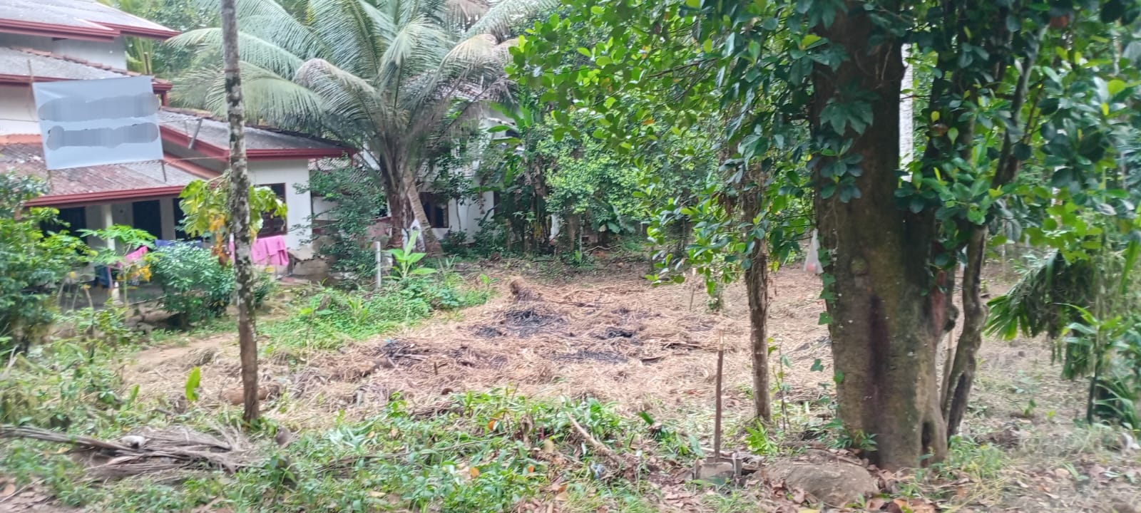 Land for Sale in Ratnapura