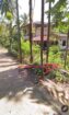 Land for Sale in Ratnapura