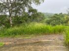 Land for Sale – Wewaldeniya