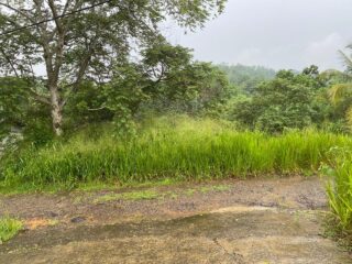 WhatsApp-Image-2026-06-07-at-12.30.12-PM-2