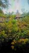 Land for Sale Near Madampa River Ambalangoda