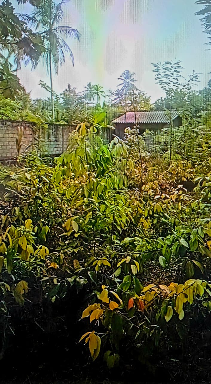 Land for Sale Near Madampa River Ambalangoda