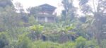 House for Sale with Land Nuwara Eliya
