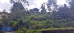 House for Sale with Land Nuwara Eliya