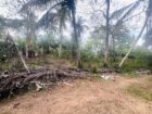 තංගල්ල ඉඩමක් විකිණීම