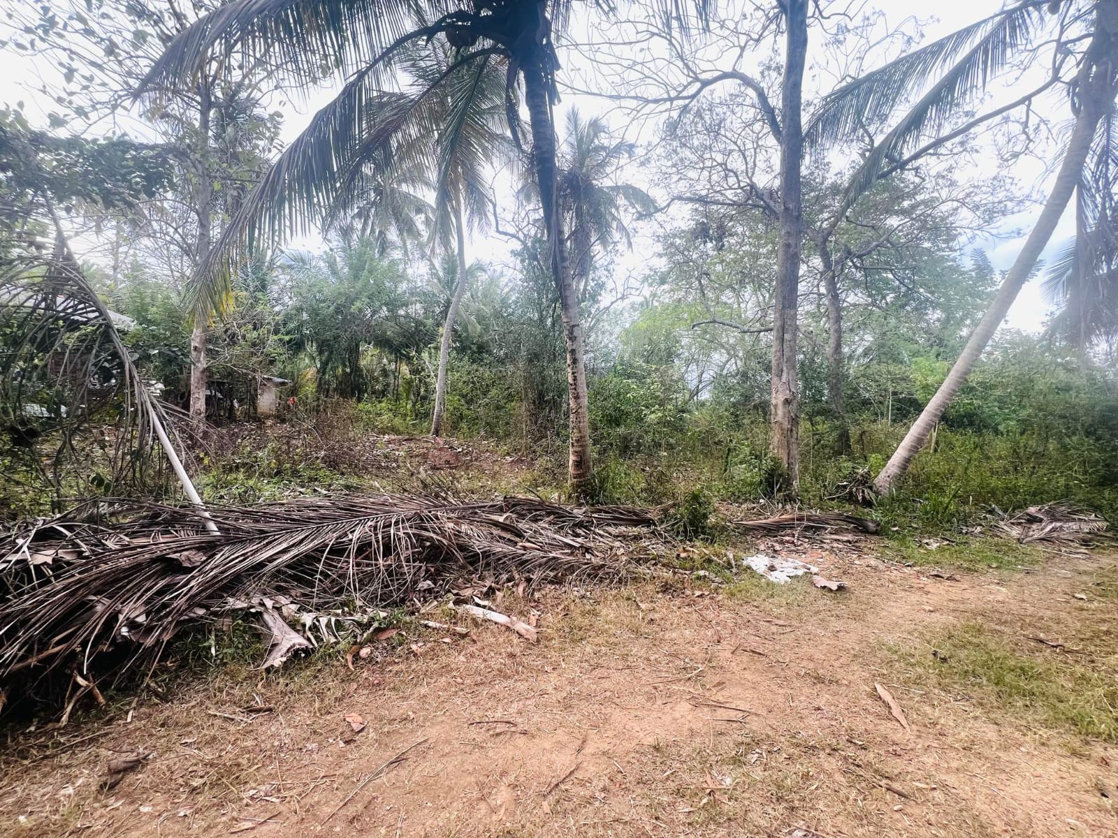 තංගල්ල ඉඩමක් විකිණීම