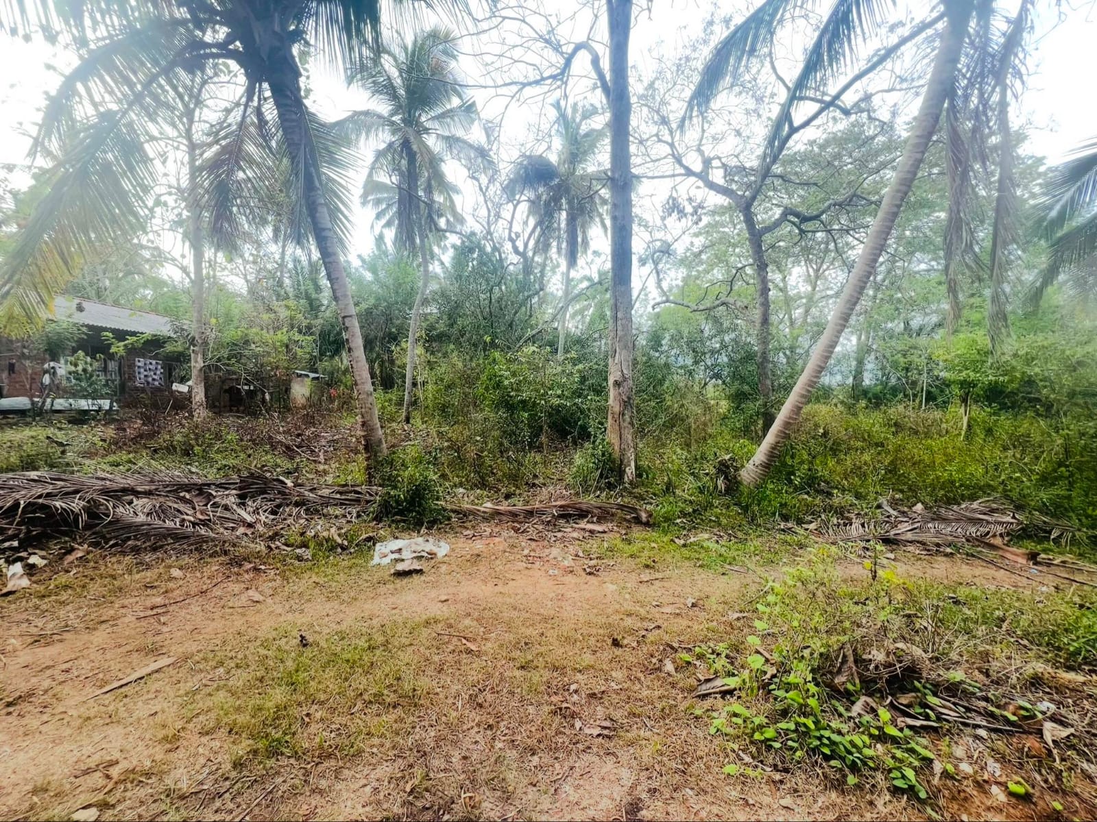 තංගල්ල ඉඩමක් විකිණීම