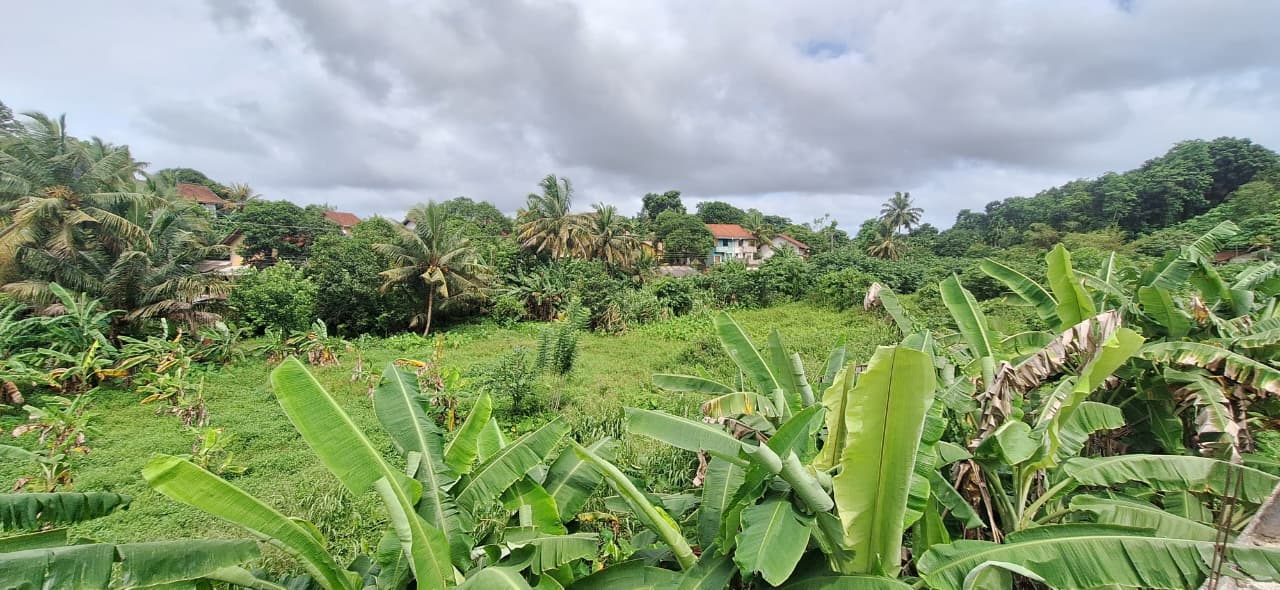 3.5 Acres of Land for Sale – Thalgasgoda