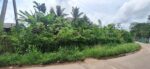 3.5 Acres of Land for Sale – Thalgasgoda