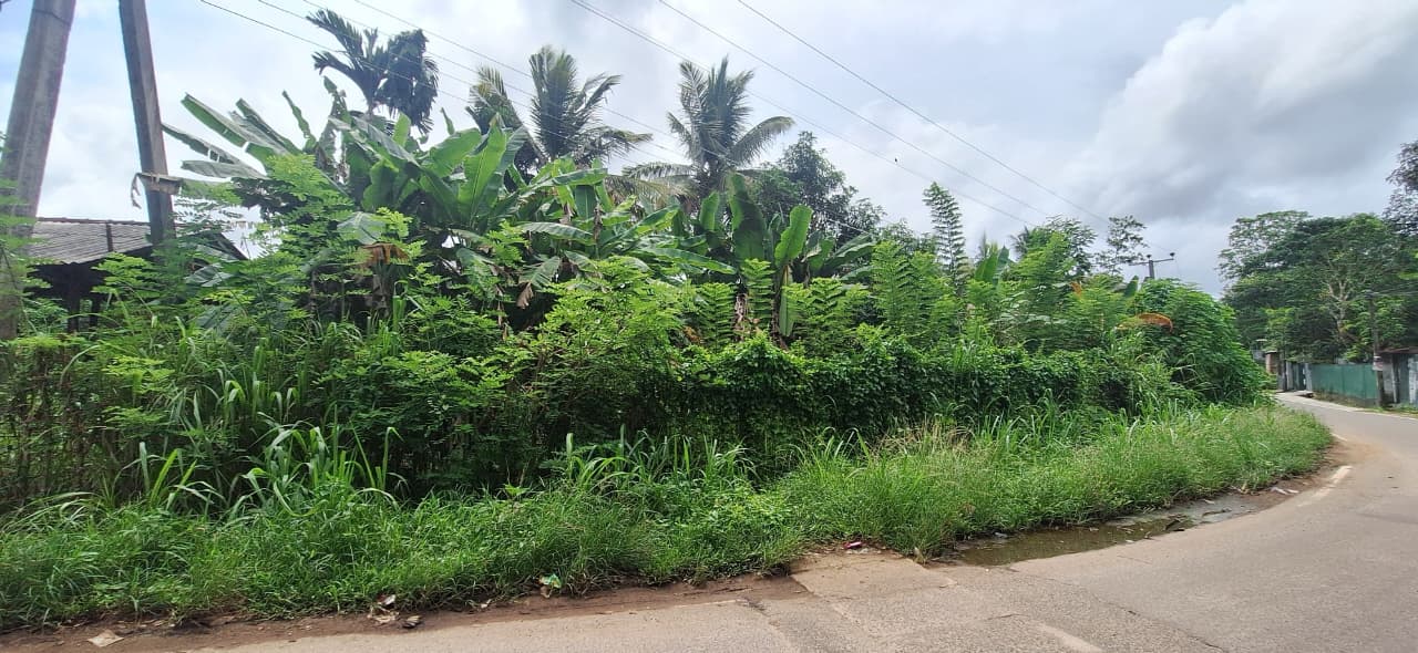 3.5 Acres of Land for Sale – Thalgasgoda