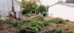 Land for Sale in Makola