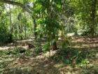 ඉඩමක් විකිණීමට කොස්ලන්ද, ගම්පහ
