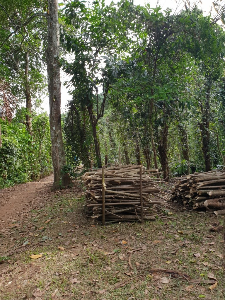 ඉඩමක් විකිණීමට කොස්ලන්ද, ගම්පහ