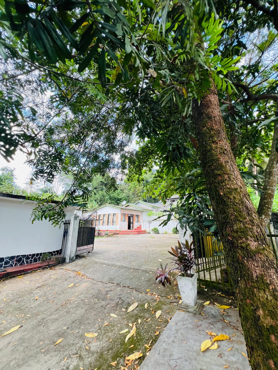 මොනරාගල ප්‍රදාන රෝහල අසල පර්චස් ගොඩනැගිලි සමගම 80ක ඉඩමක් විකිණිමට