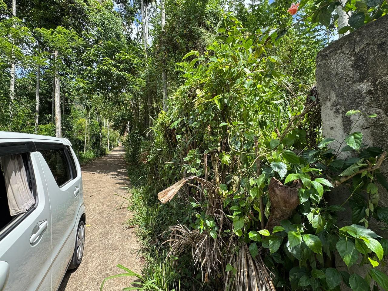20Perch Flat Land for sale Thotagamuwa, Aluwiharaya