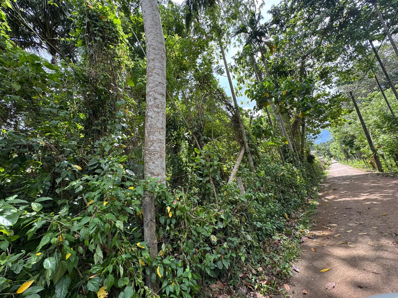 20Perch Flat Land for sale Thotagamuwa, Aluwiharaya