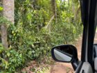20Perch Flat Land for sale Thotagamuwa, Aluwiharaya